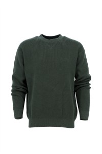 Men Green Round Neck Jumper Solid Knitted